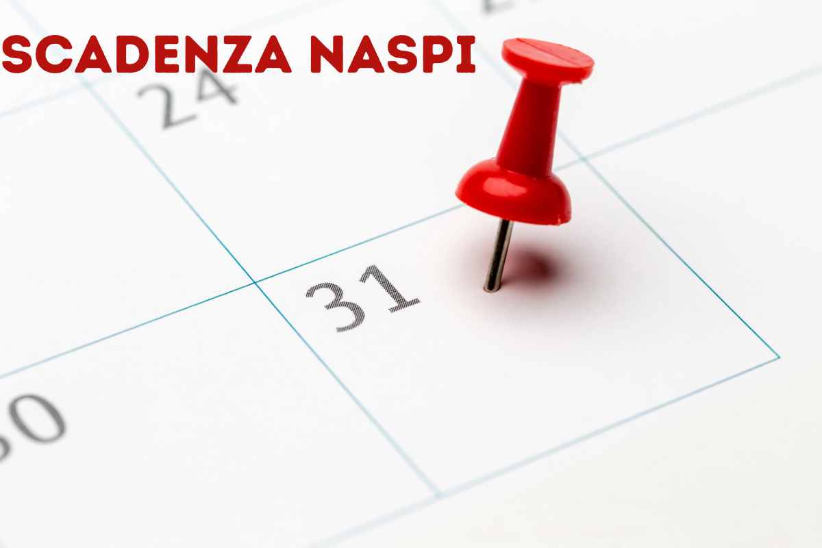 Naspi