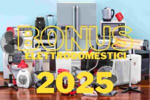 bonus elettrodomestici 2025